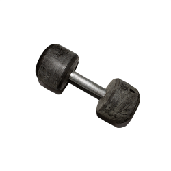 10kg Dumbell (Each)