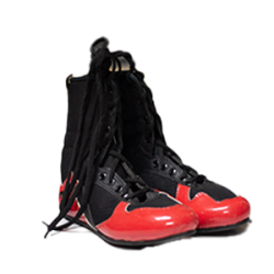 Boxing Shoes 