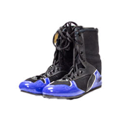 Boxing Shoes 