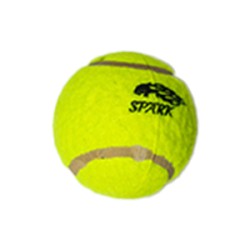 Hard Tennis Ball 