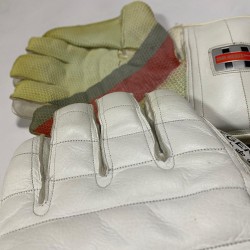 Wicket Keeper Gloves 