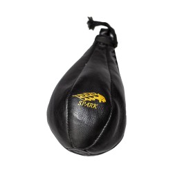 Boxing Speed Ball 