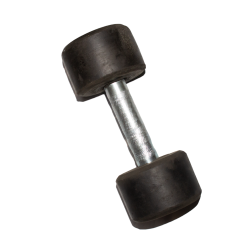 3 Kg Dumbbell (Each)
