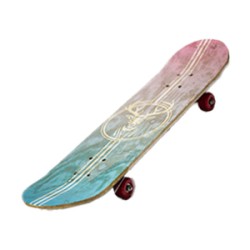 Skate board (Large) Skate board (Large)