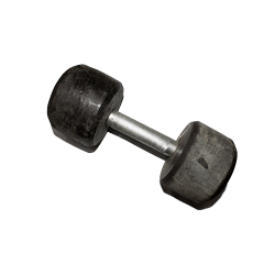 5 Kg Dumbbell (Each)