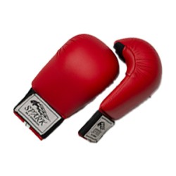 Karate Gloves 