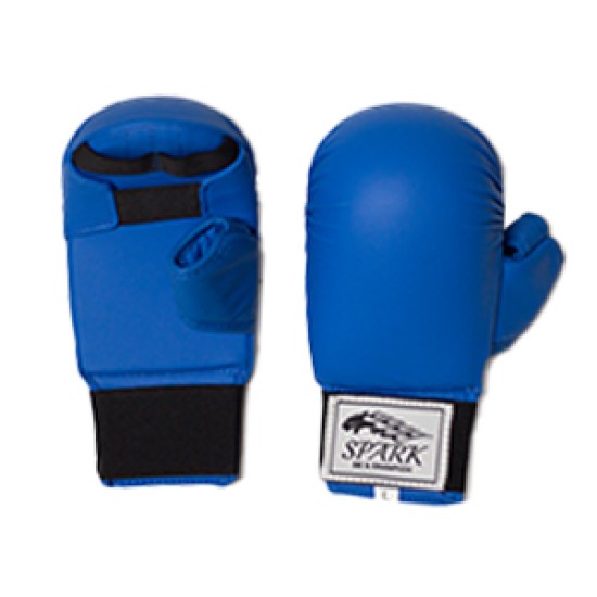 Karate Gloves Karate Gloves