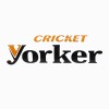 Yorker 