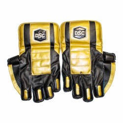 Wicket Keeper Gloves 