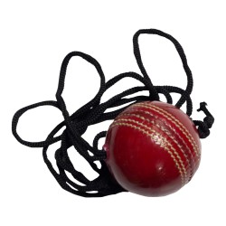 Practice Ball 