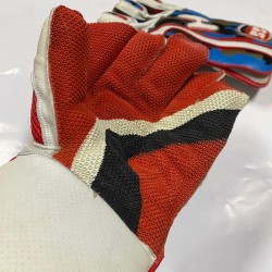 Wicket Keeper Gloves 