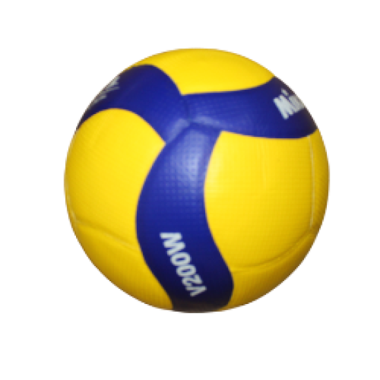 Volleyball Ball Mikasa fivb