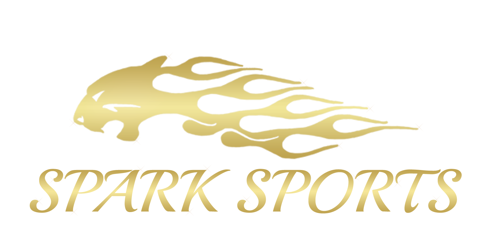 Spark Sports