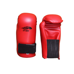 Karate Gloves 