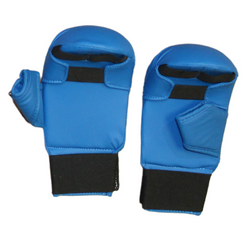 Karate Gloves 