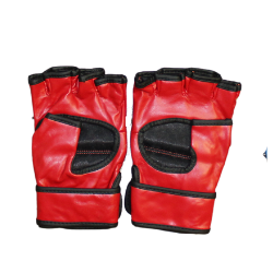 MMA Gloves