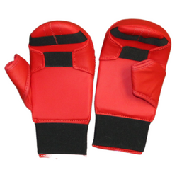 Karate Gloves 