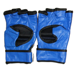 MMA Gloves