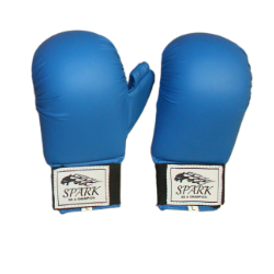Karate Gloves 