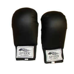 Karate Gloves 