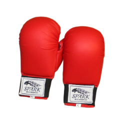 Karate Gloves 