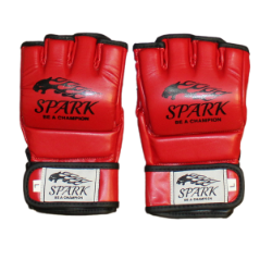 MMA Gloves