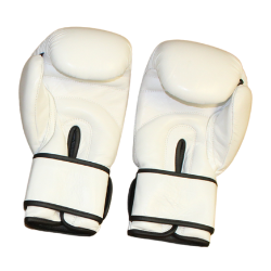 Boxing Gloves (Leather)