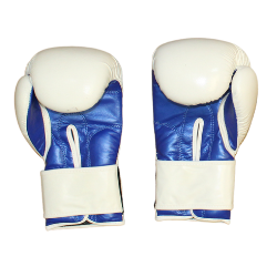 Boxing Gloves (Leather)