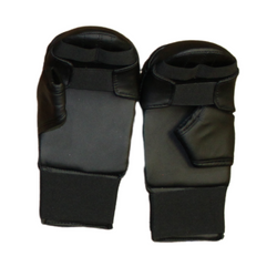 Karate Gloves 