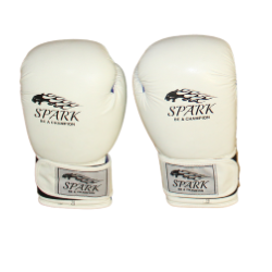 Boxing Gloves (Leather)