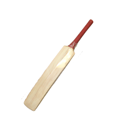 Hard Ball Bat (English Willow)