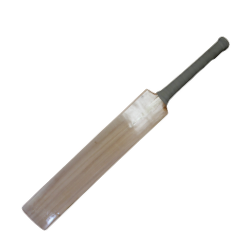 Hard Ball Bat (English Willow)