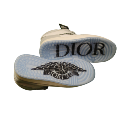 Jordan Air Dior shoe